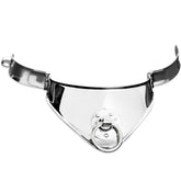 HARD METAL - RETAINING COLLAR WITH RING AND PADLOCK 12.5 CM